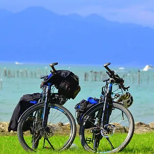 Bb Il Grande Salice Bike Friends Bed & Breakfast